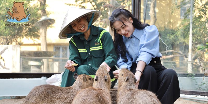 2 địa điểm có thể gặp Capybara ở Hồ Chí Minh