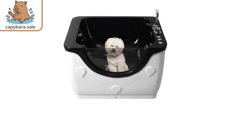 Bồn tắm mini dạng spa