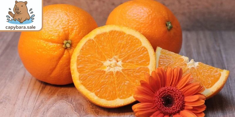 Capybara ăn quả gì tốt? Thử cam, quýt