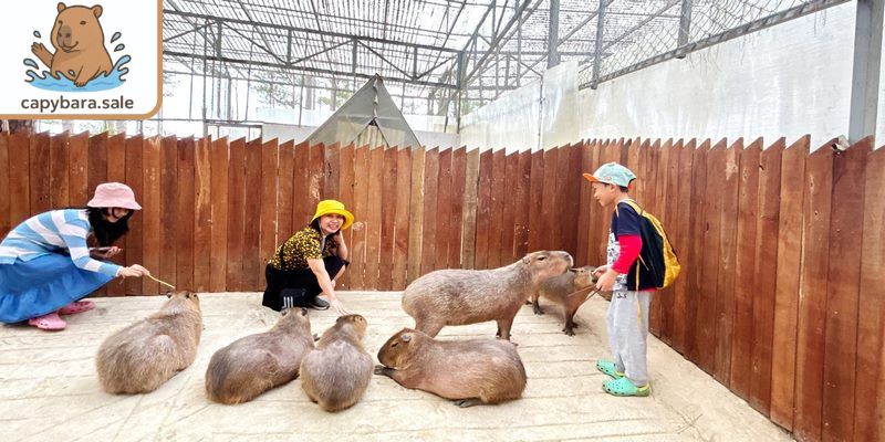 Chuồng hiện đại cỡ lớn