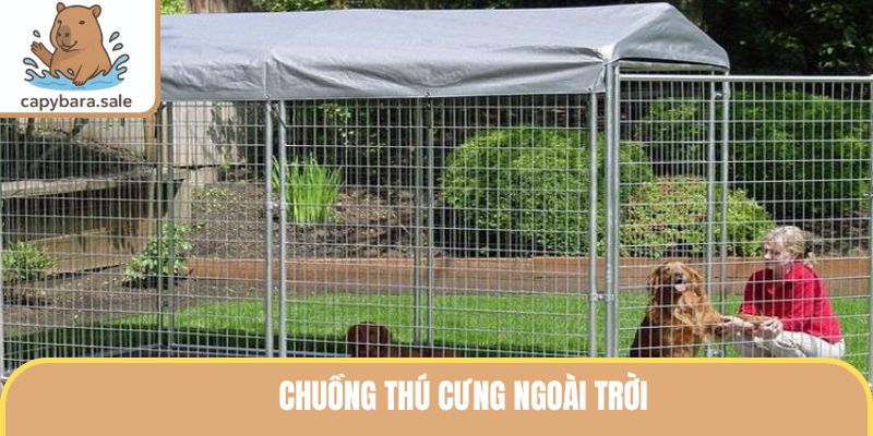 Chuồng Thú Cưng Ngoài Trời