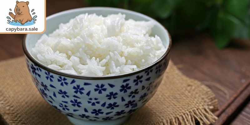 Chuột lang nước có ăn cơm không? - Có