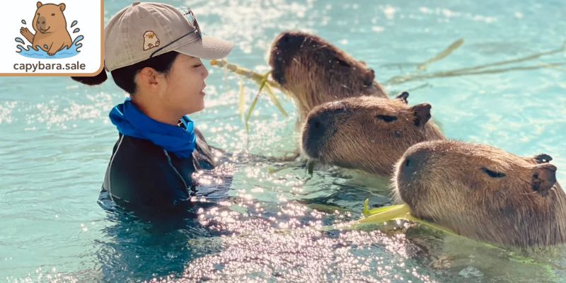 Công viên sinh thái Capybara Kenting Luyu