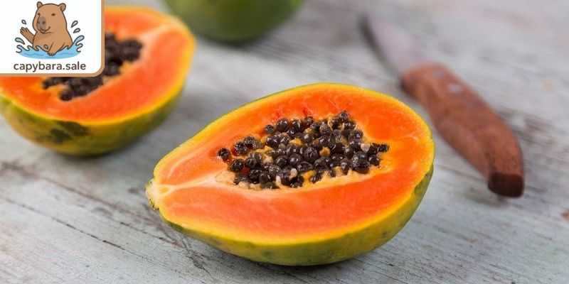 Đu đủ trong 10 trái cây cho động vật tốt