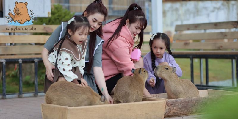 Kapi Cafe - điểm hẹn lý tưởng cuối tuần cho bạn