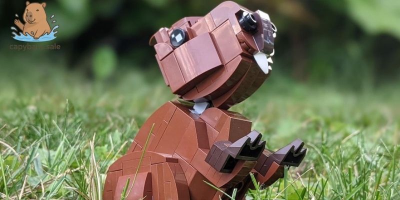 Lego capybara lắp rất đơn giản ai cũng làm được 