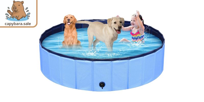 Mẫu bồn dạng gấp gọn tiện dụng