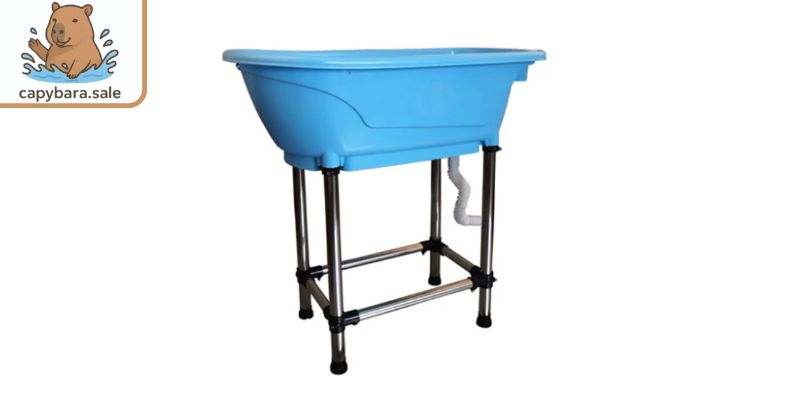 Mẫu sản phẩm bằng nhựa và sắt