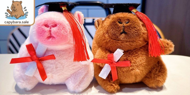 Mẫu tốt nghiệp trong 10 gấu bông capybara được yêu thích