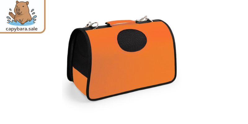 Mẫu túi đựng thú cưng cao cấp