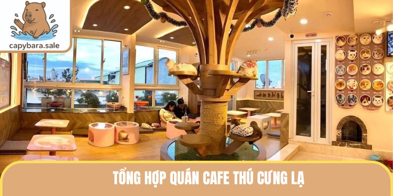 Quán Cafe Thú Cưng