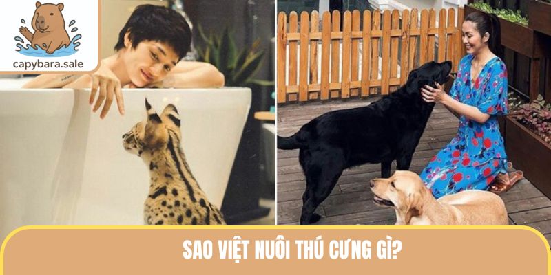 Sao Việt nuôi thú cưng gì