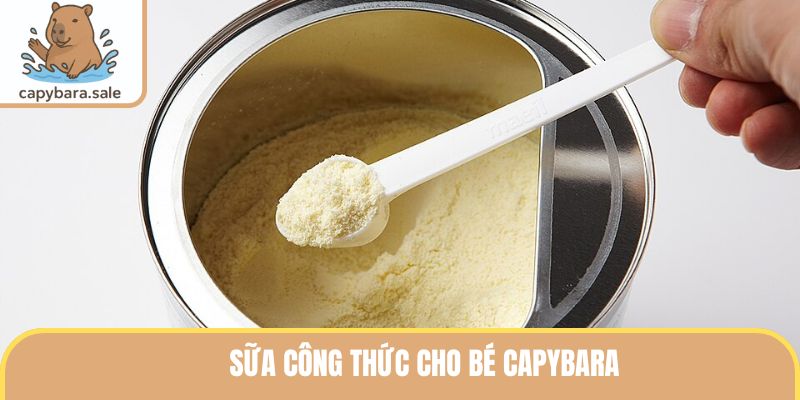 Sữa Công Thức Cho Bé Capybara