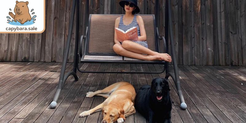 Tăng Thanh Hà nuôi giống chó săn