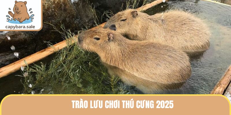 Trào Lưu Chơi Thú Cưng 2025