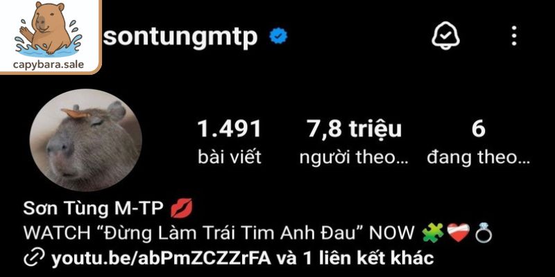 Trên nền tảng xuất hiện thông tin liên quan Sơn Tùng Capybara