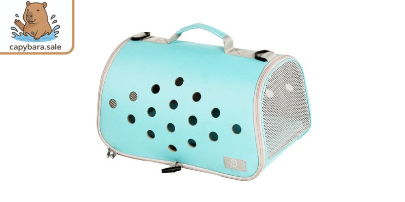 Túi đựng thông thoáng giá tốt