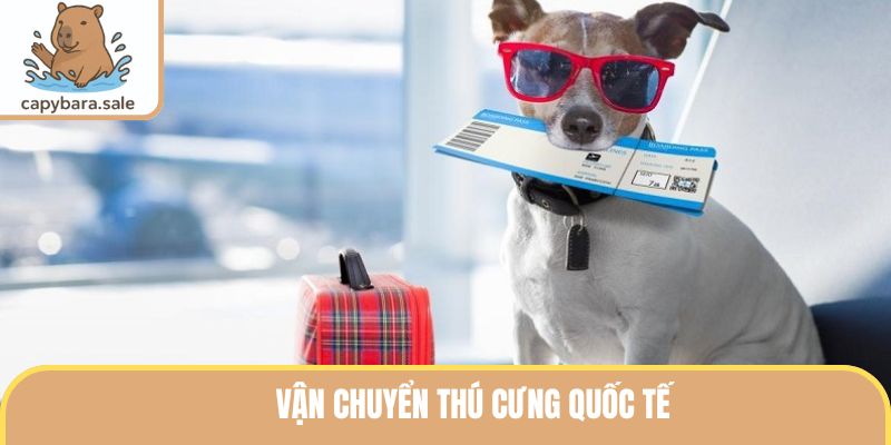 Vận Chuyển Thú Cưng Quốc Tế